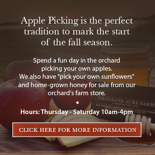 Graphic for the pop-up explaining that there is apple picking at Thousand Acre Farm.