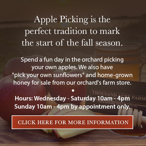 2024 apple picking information for Thousand Acres Farms 